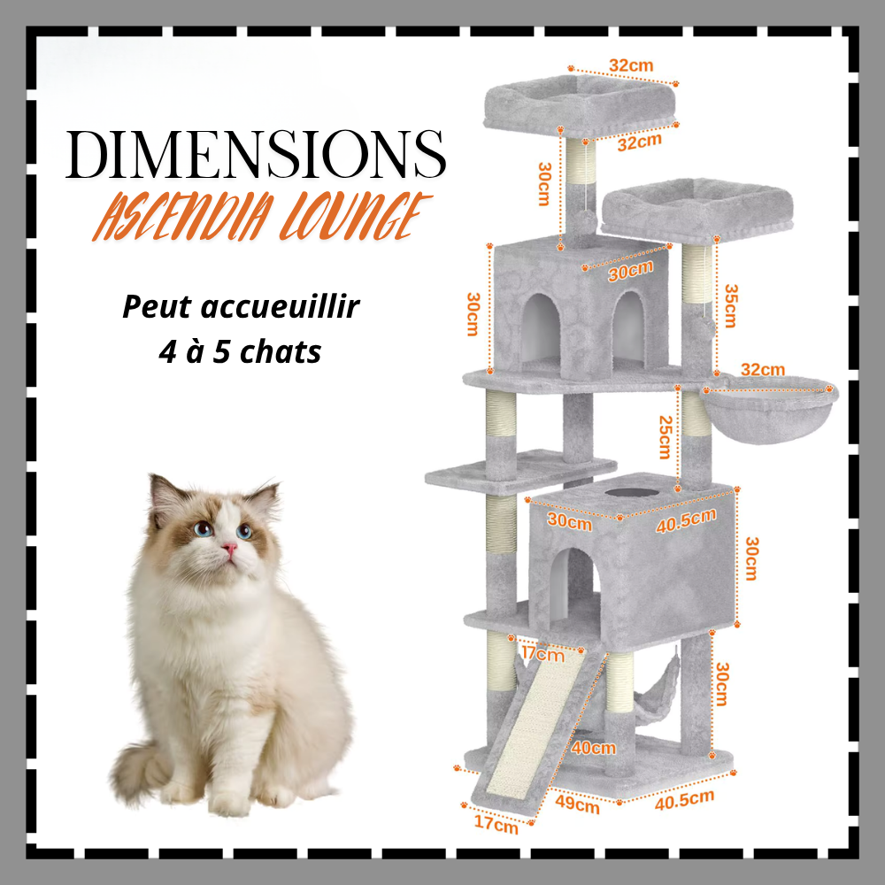 ASCENDIA LOUNGE la tour pour chat d'interieur.