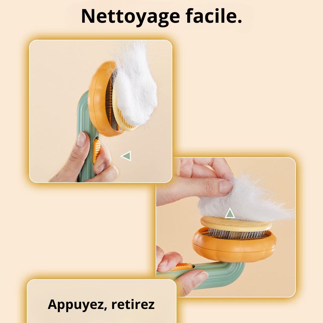 BROSSE CITROUILLE AUTO-NETTOYANTE POUR CHATS