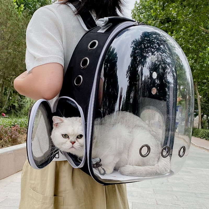 Sac de transport pour chat - transparent (noir)