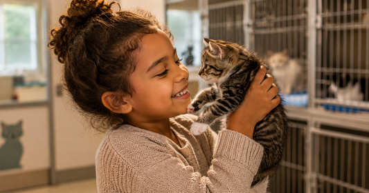 vue d'une petite fille basanée qui est contente et enthousiaste d'avoir un chaton dans un refuge