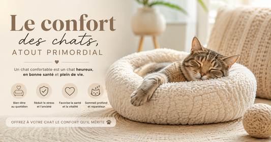 confort des : atout primordial