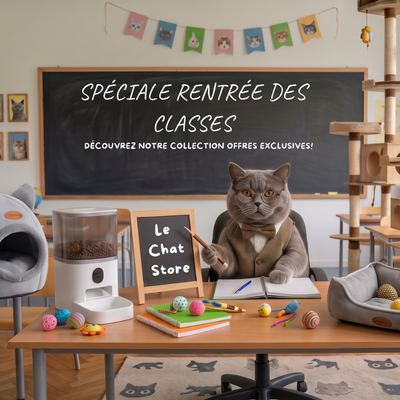 promotion a ne pas manquer pour la rentrée