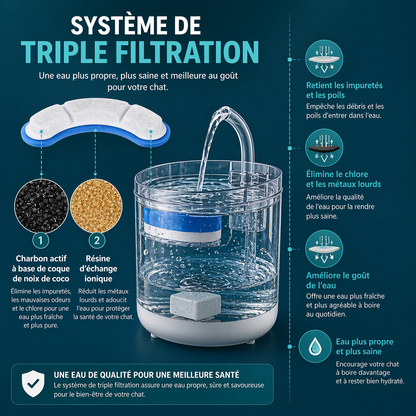 Fontaine à Eau pour Chat 2 Litres Transparente Double Mode Source et Filet