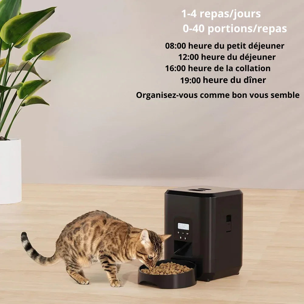 1 à 40 repas par jour