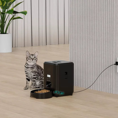 Programmation 1 à 4 repas par jour du distributeur WiFi pour chat
