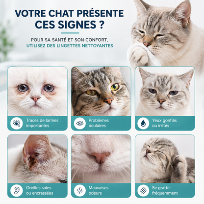 Lingettes Nettoyantes pour Yeux et Oreilles pour Chat CLEAN-PET.