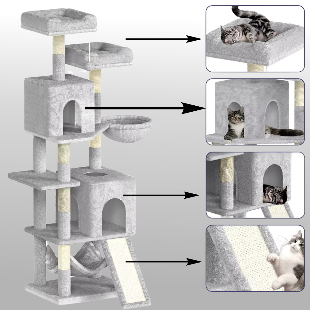avantages de chaques niveaux pour chats