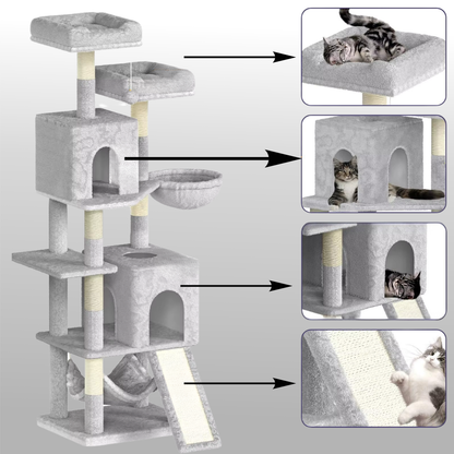 avantages de chaques niveaux pour chats