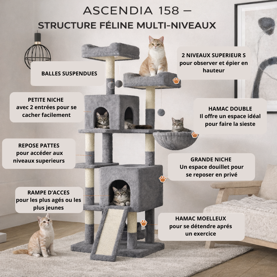arbre à chats xxl multi-niveaux