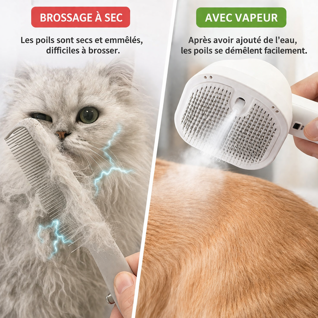 résultat avant et après le brossage
