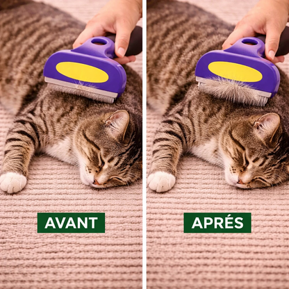 avantages du brossage du chat
