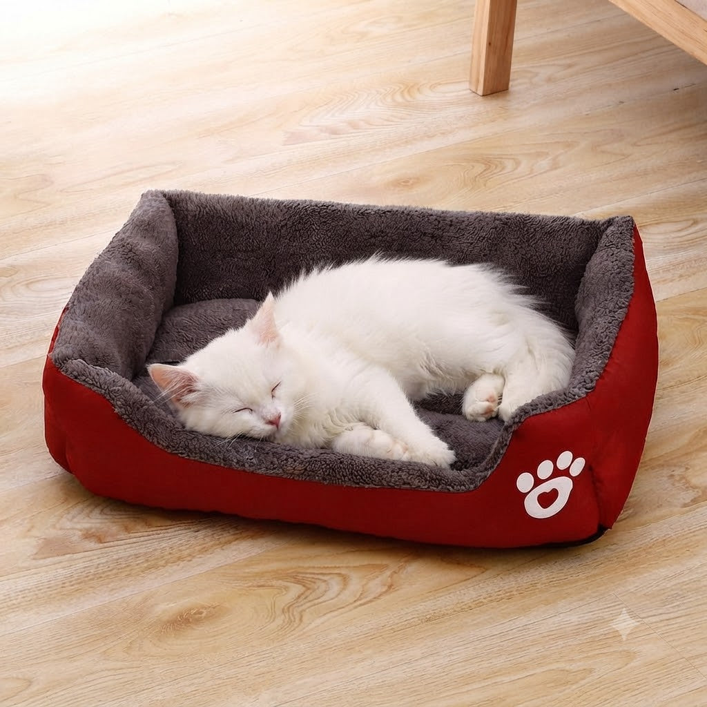 CALIN-MAT chat blanc qui dort dans tapis douillet