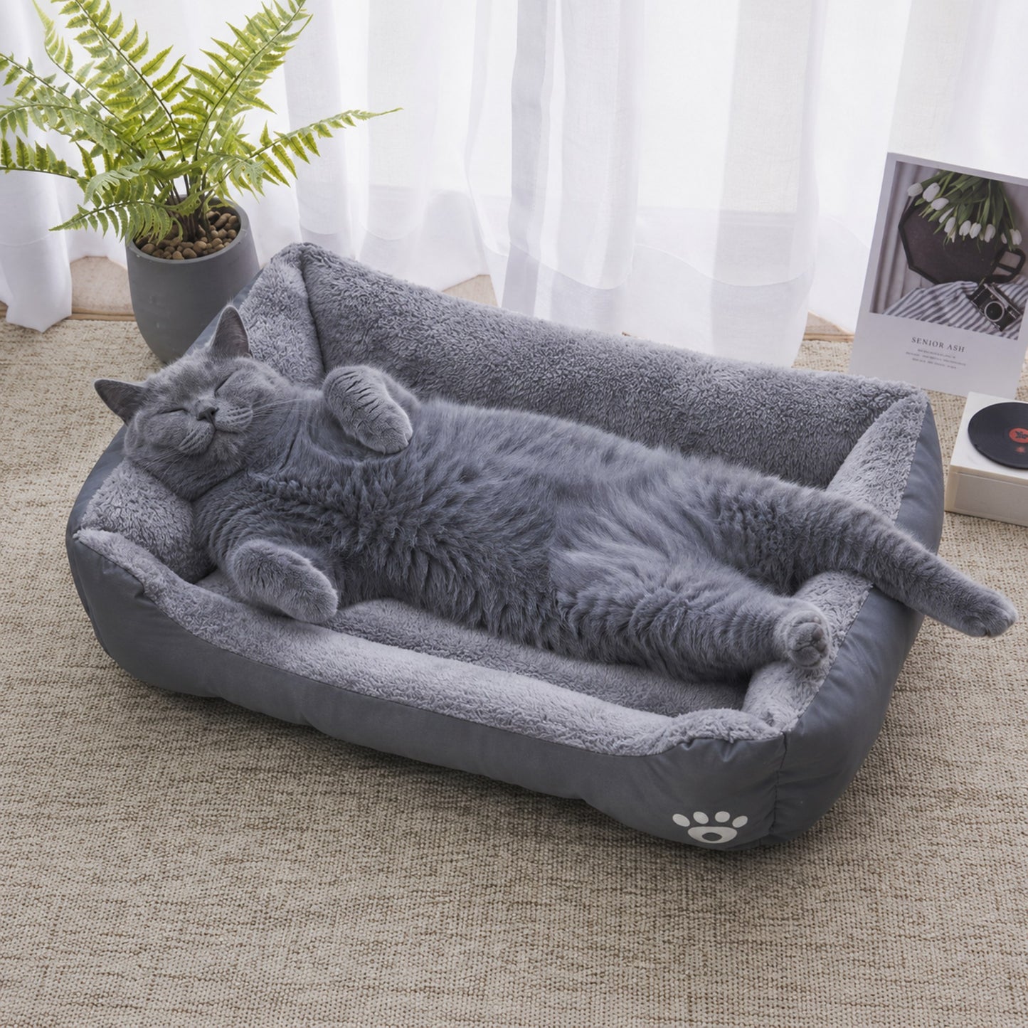 CALIN-MAT chat gris qui dort dans tapis douillet