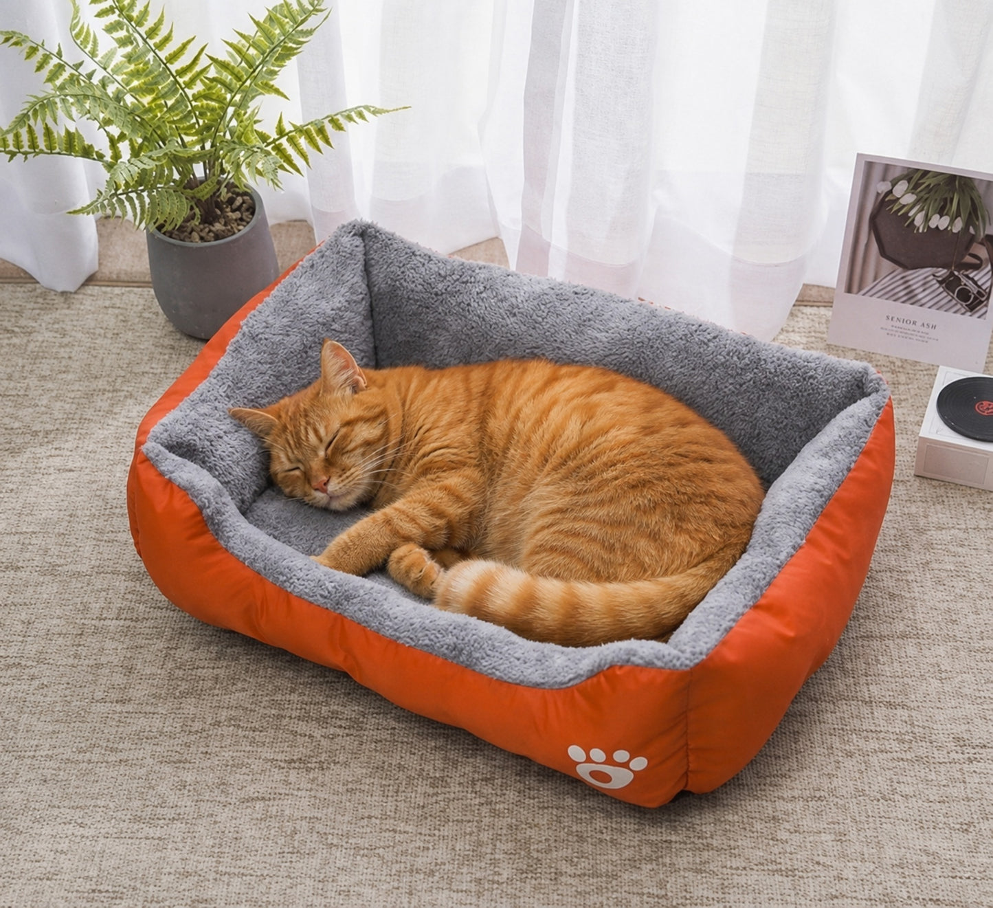 CALIN-MAT chat roux qui dort dans tapis douillet