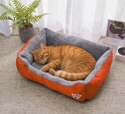 CALIN-MAT chat roux qui dort dans tapis douillet