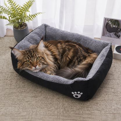 CALIN-MAT chat Maine coone qui dort dans tapis douillet