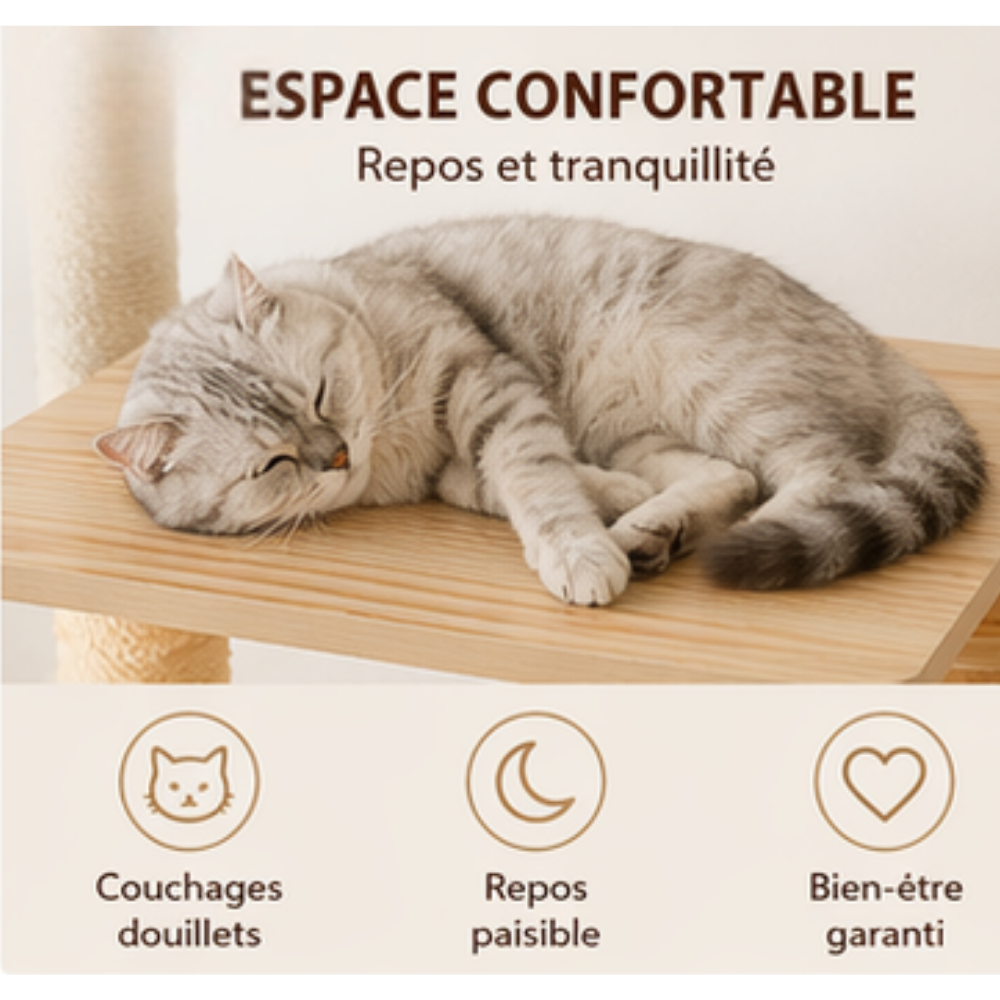 espace de confort au dessus de l'arbre à chat en bois CAT-WOOD