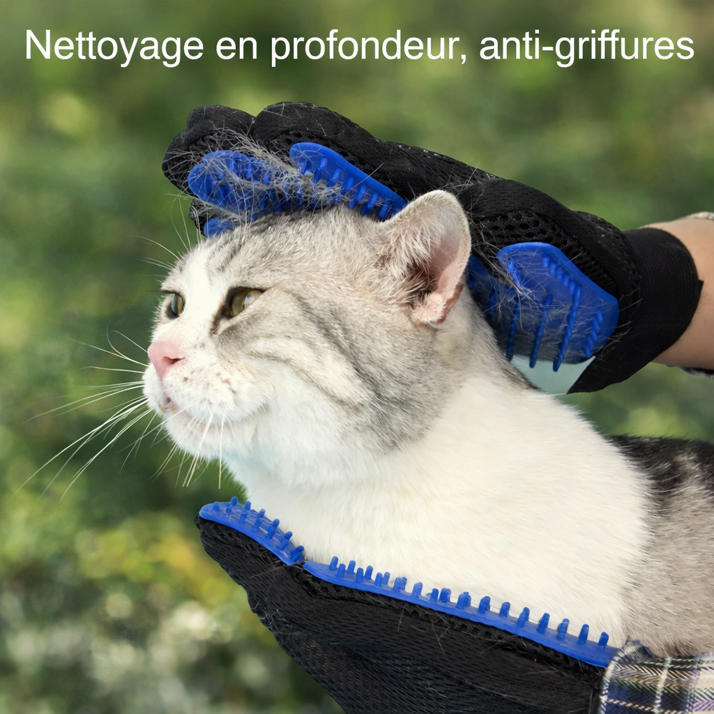 Gant de toilettage pour chat en silicone – Anti poils et massant.