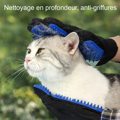Gant de toilettage pour chat en silicone – Anti poils et massant.