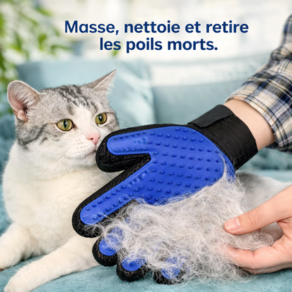 Gant de toilettage pour chat en silicone – Anti poils et massant.