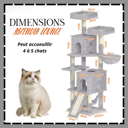 ASCENDIA LOUNGE la tour pour chat d'interieur.