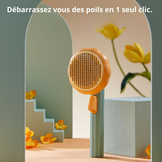 BROSSE CITROUILLE  AUTO-NETTOYANTE POUR CHATS