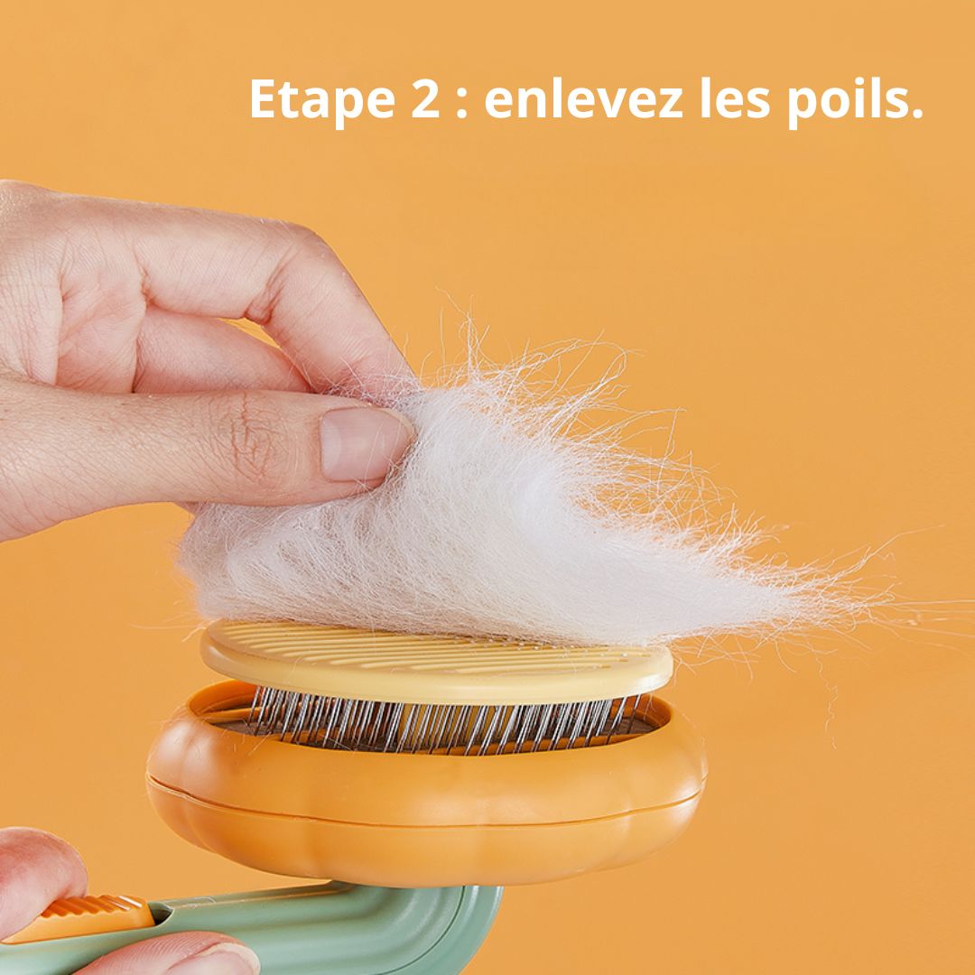 BROSSE CITROUILLE  AUTO-NETTOYANTE POUR CHATS