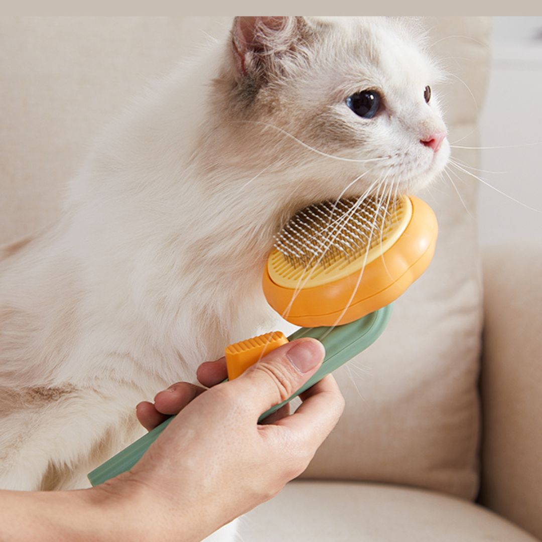 BROSSE CITROUILLE  AUTO-NETTOYANTE POUR CHATS