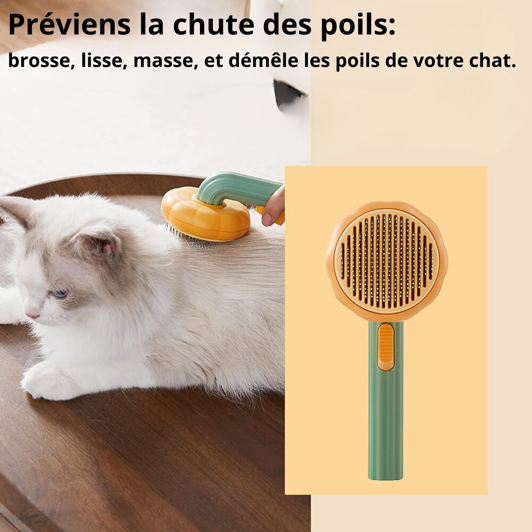 BROSSE CITROUILLE  AUTO-NETTOYANTE POUR CHATS