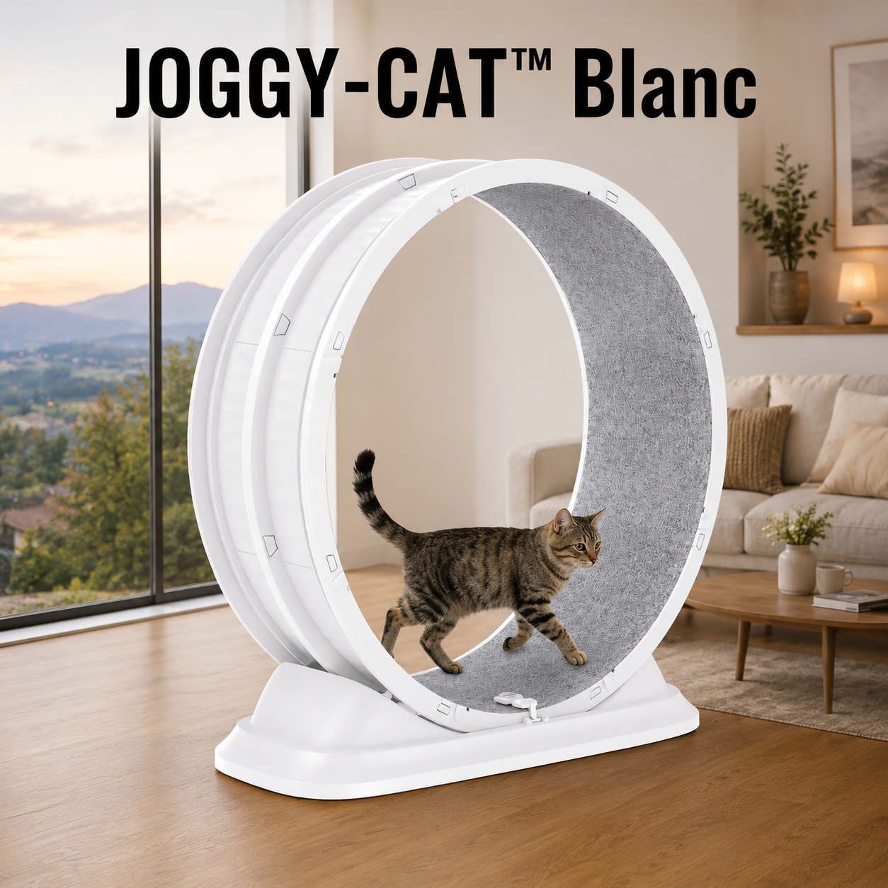 JOGGY-CAT™ — Roue d'Exercice pour Chat