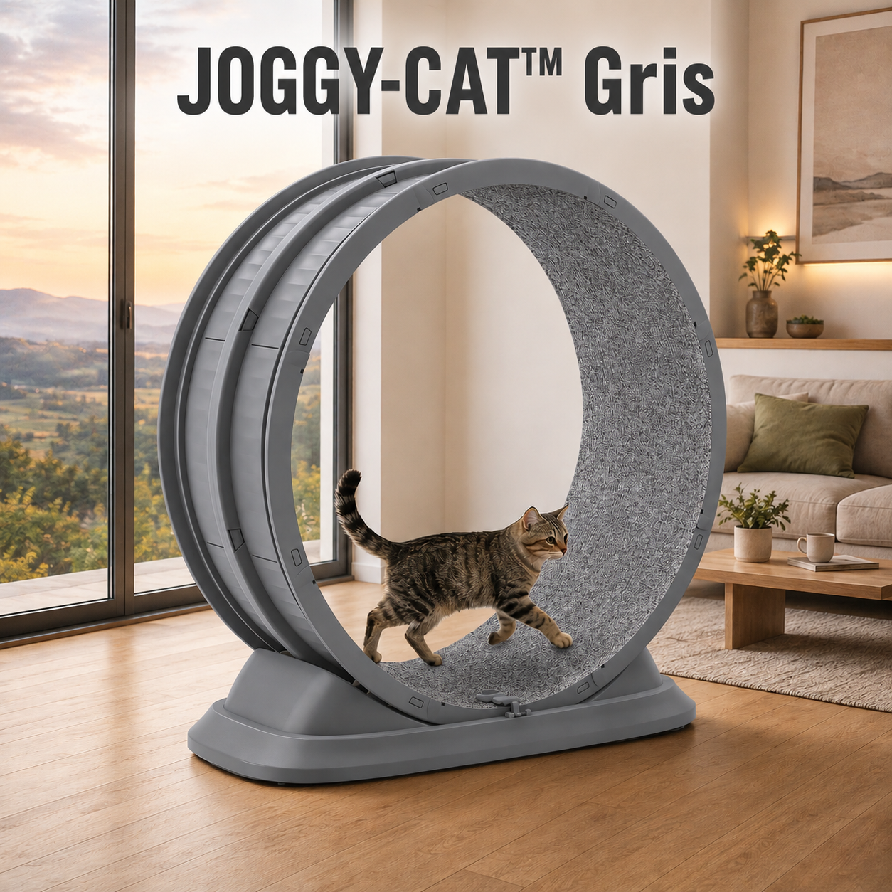 JOGGY-CAT™ — Roue d'Exercice pour Chat