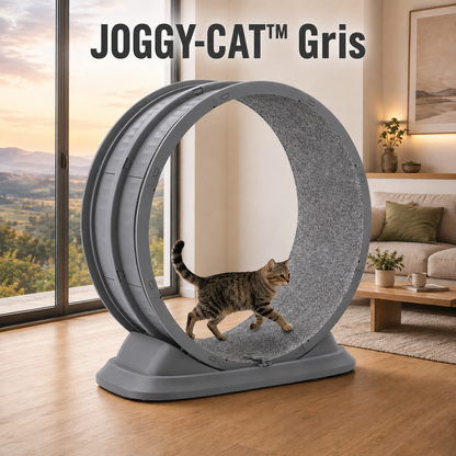JOGGY-CAT™ — Roue d'Exercice pour Chat
