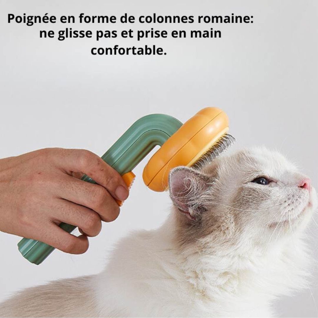 BROSSE CITROUILLE  AUTO-NETTOYANTE POUR CHATS