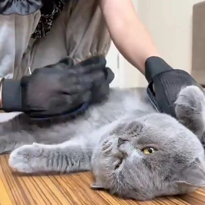 Gant de toilettage pour chat en silicone – Anti poils et massant.