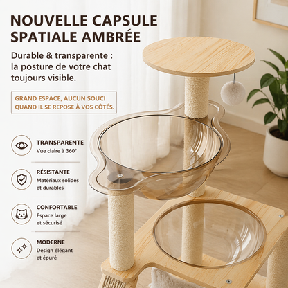 détails et vues des demie bulles de l'arbre à chat en bois CAT-WOOD