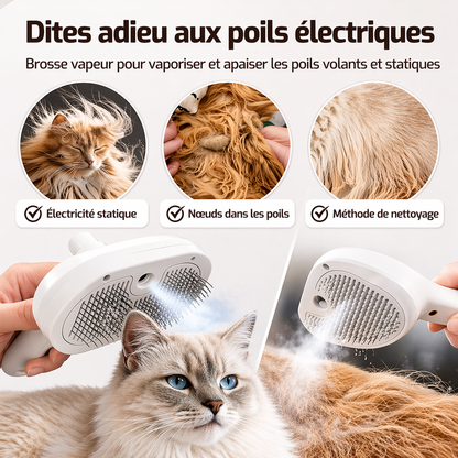 dites adieu les noeuds