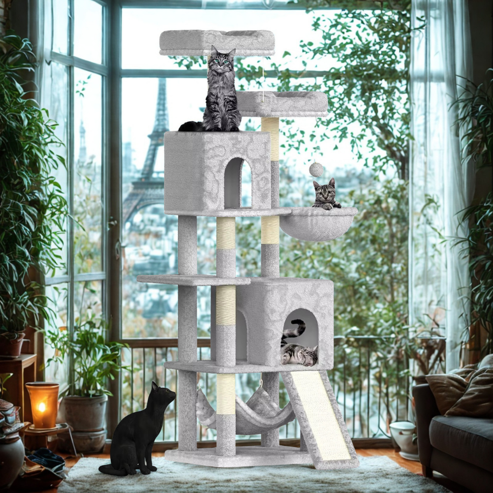 présentation de l'arbre à chat devant une baie vitrée