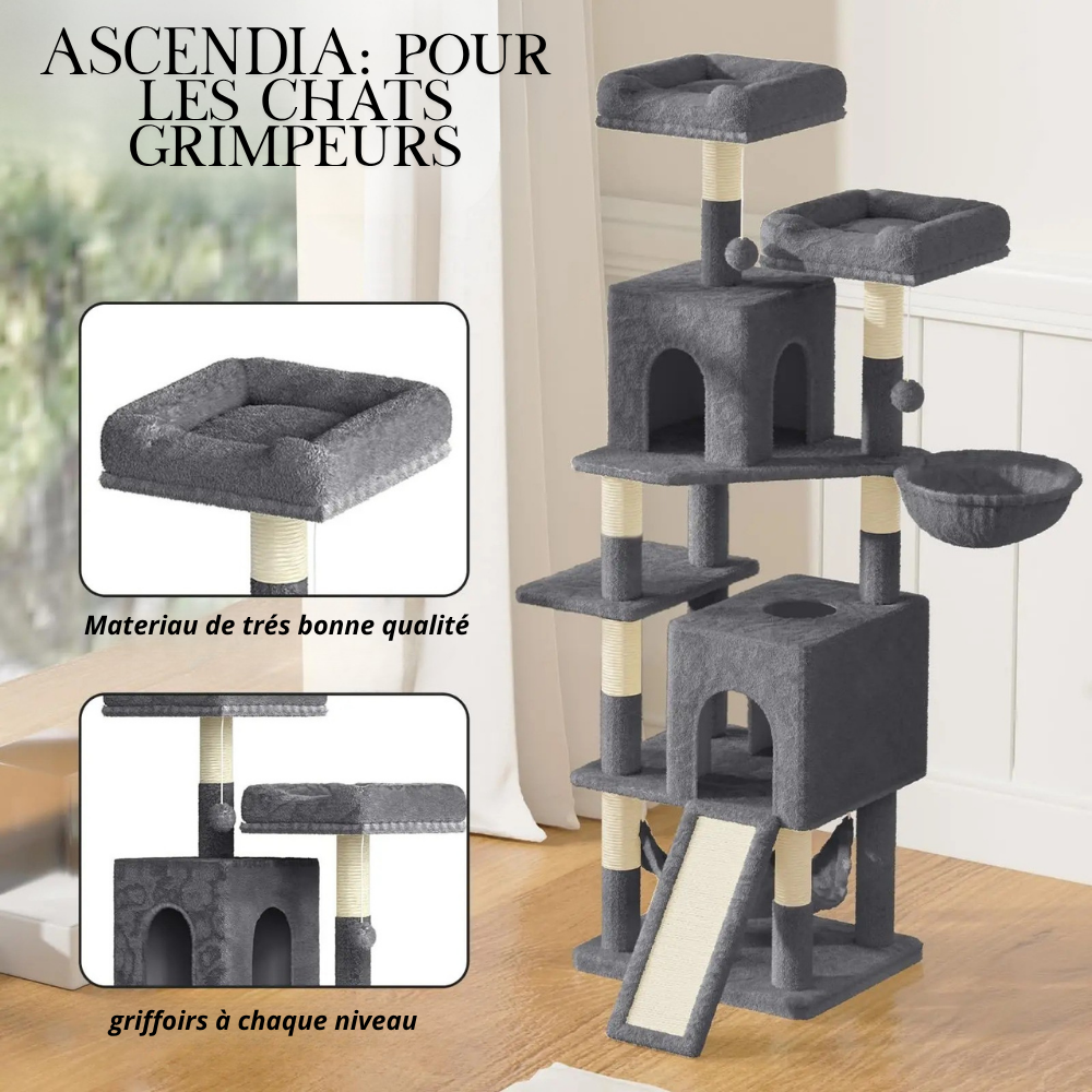 Deux plate formes en hauteur pour l'arbre à chats xxl