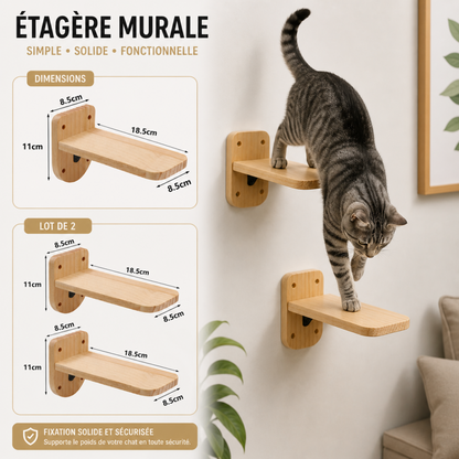 arbre à chat mural étagère