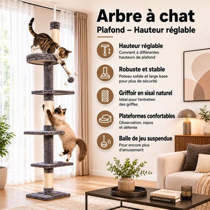 arbre à chat fixation stable