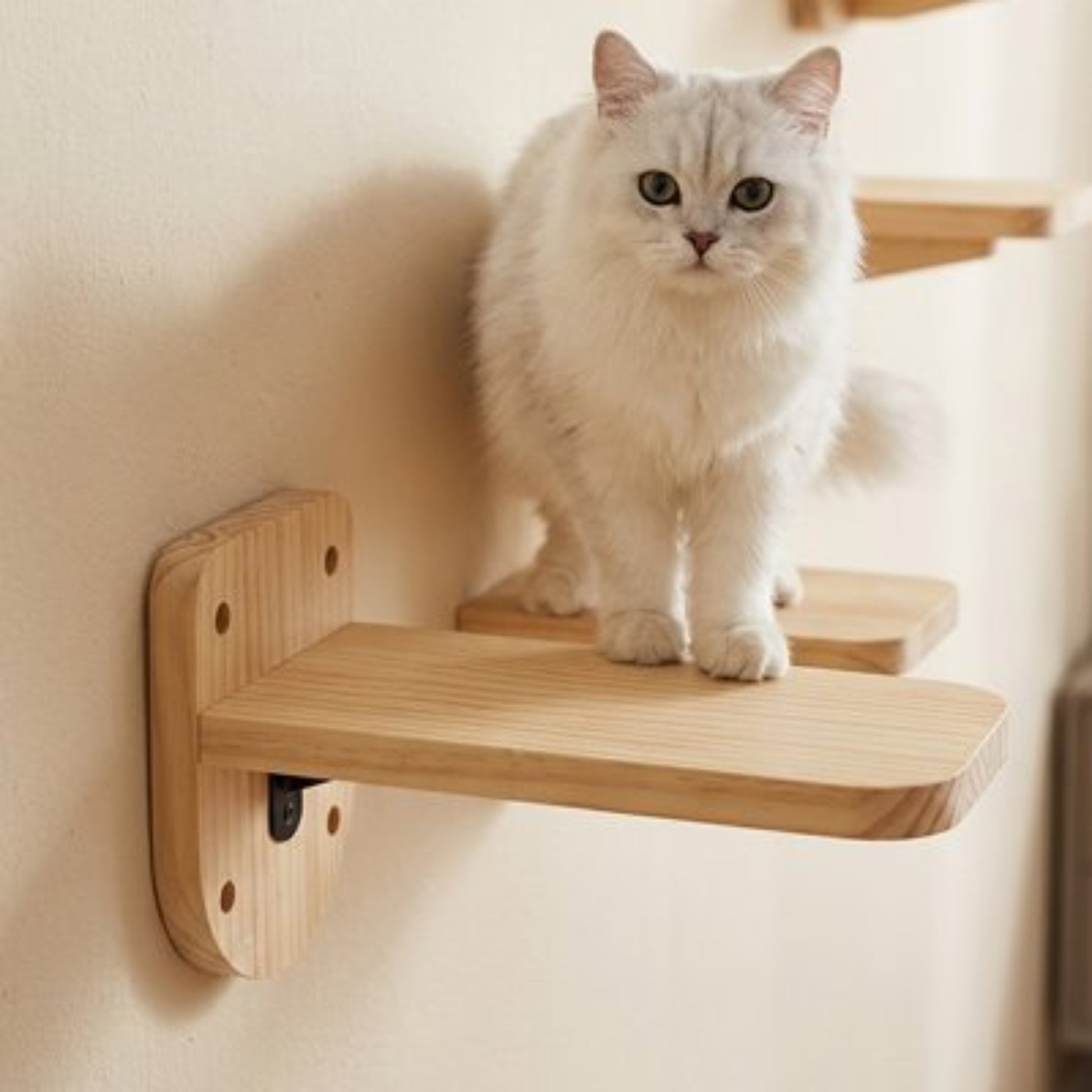 Arbre a Chat mural