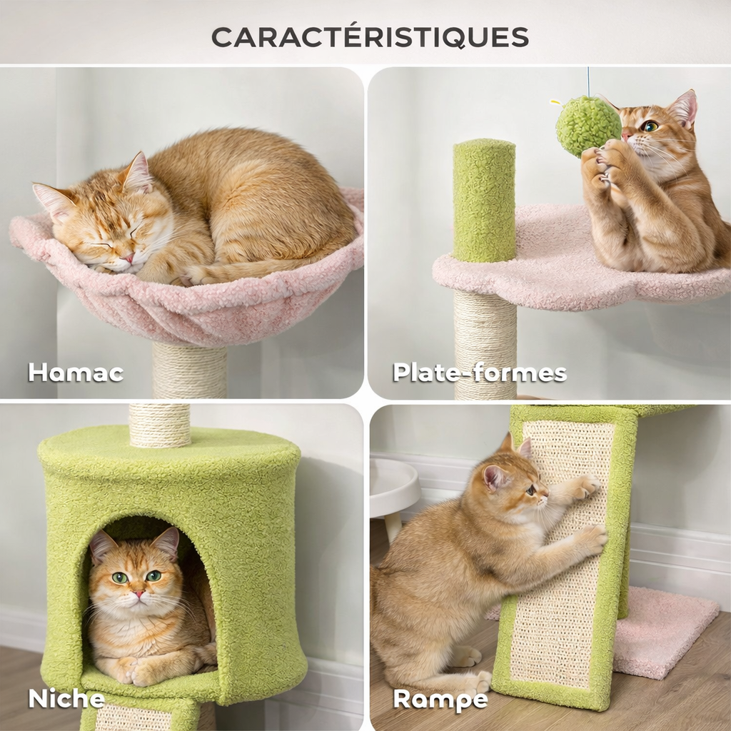 les differrentes plates formes de l'arbre à chats