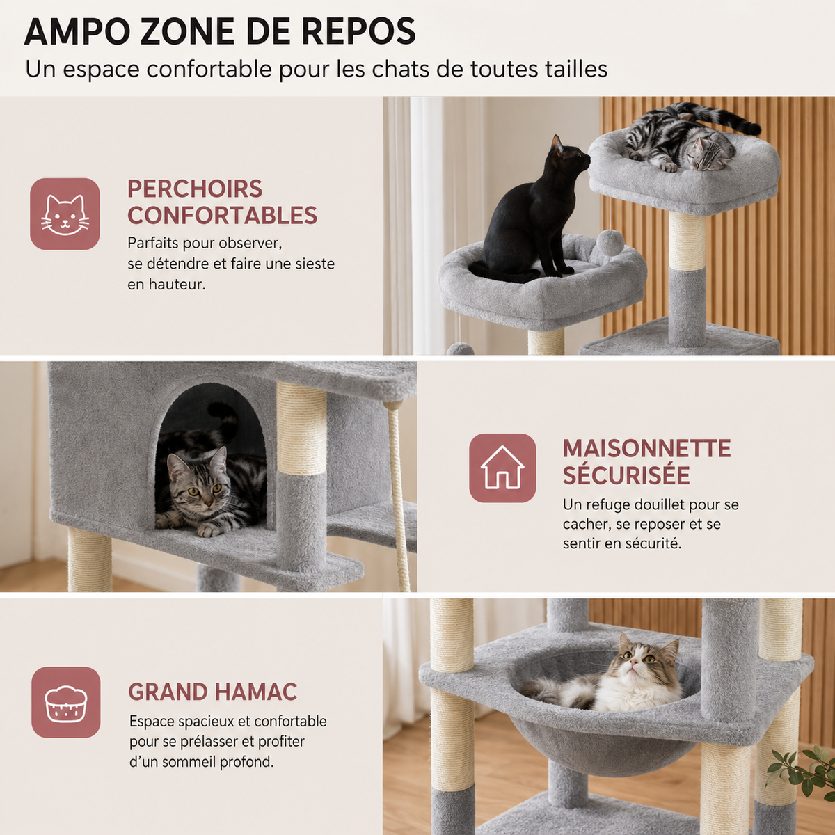 atlas-cat campo zone de repos