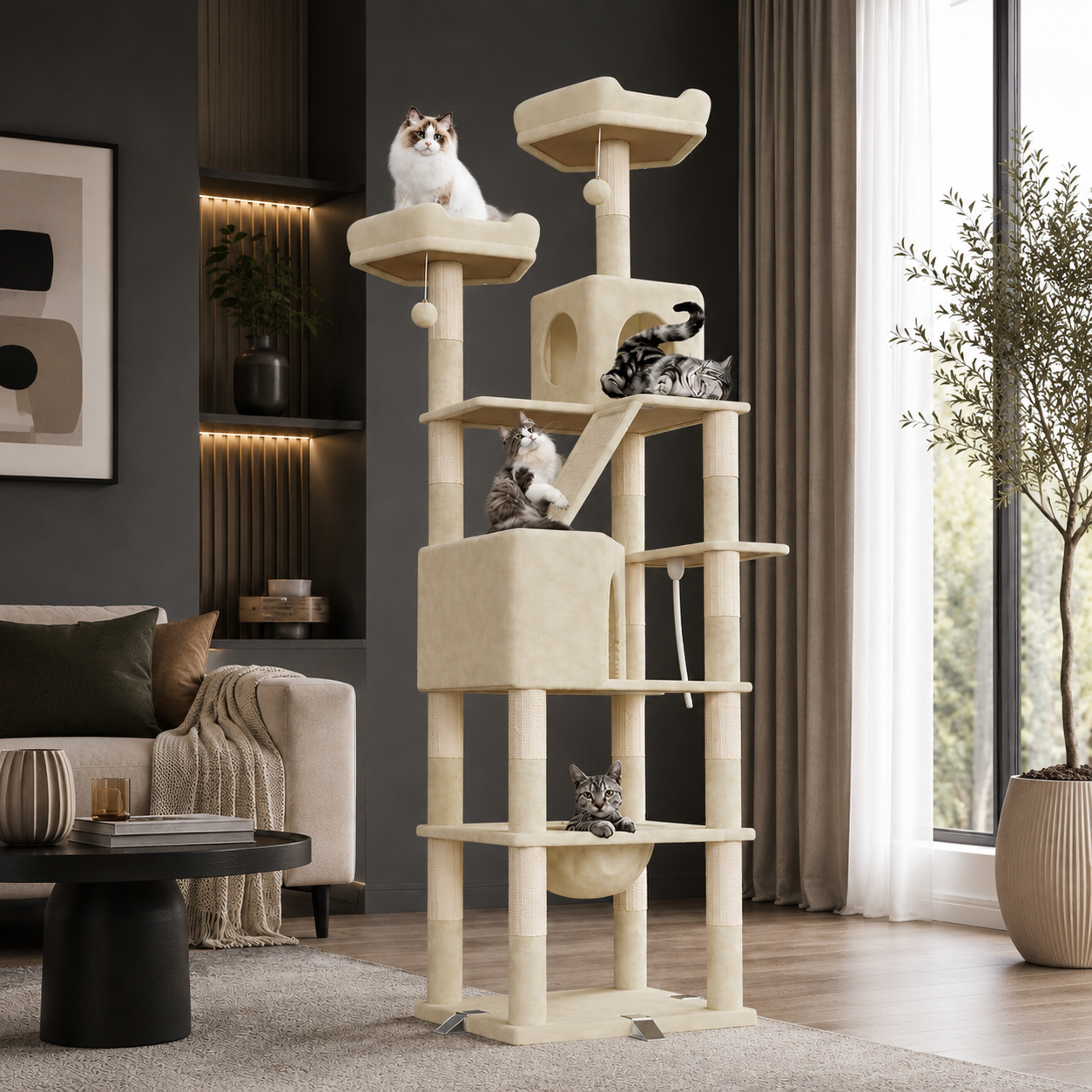 atlas-cat arbre chat gris extérieur