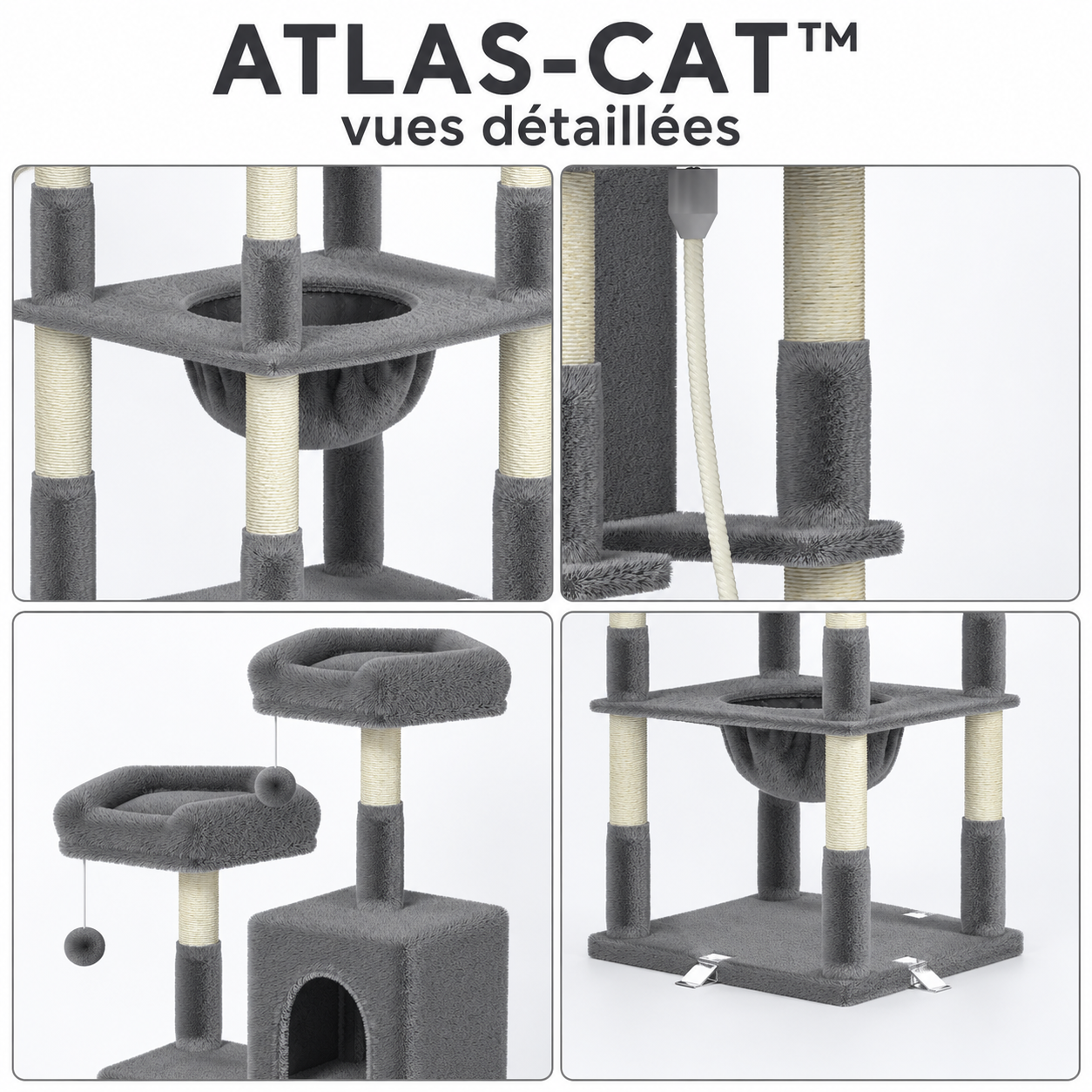 atlas-cat vues détaillées-1