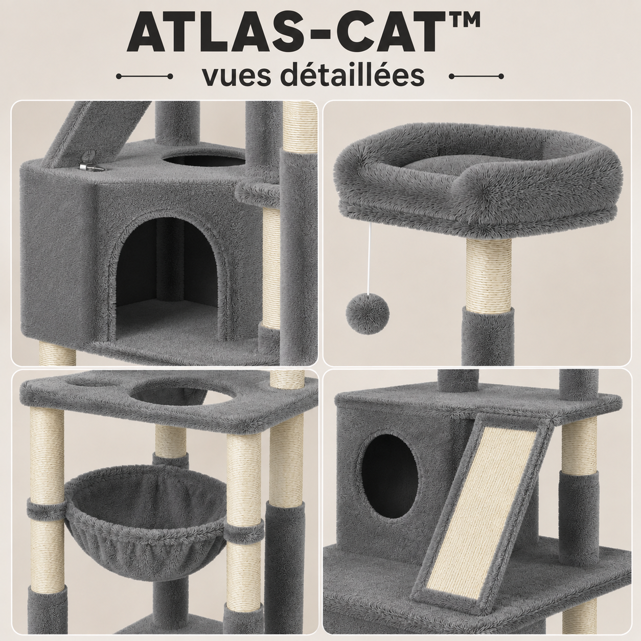 atlas-cat vues détaillées-2