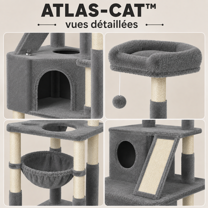 atlas-cat vues détaillées-2