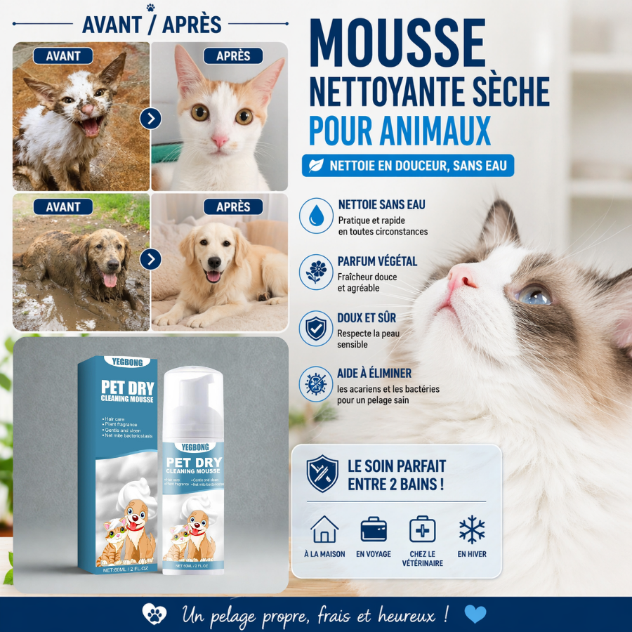 avant et après de la mousse lavante
