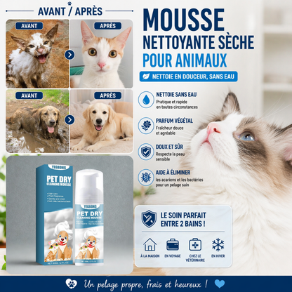avant et après de la mousse lavante