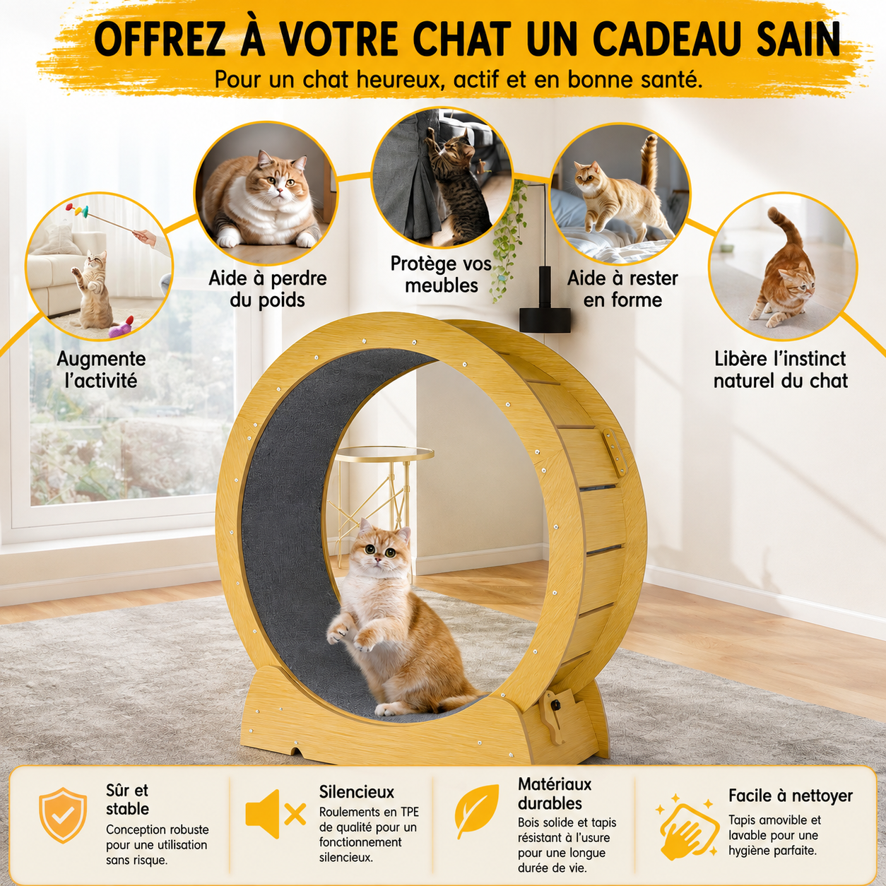 JOGGY-CAT™ — Roue d'Exercice pour Chat